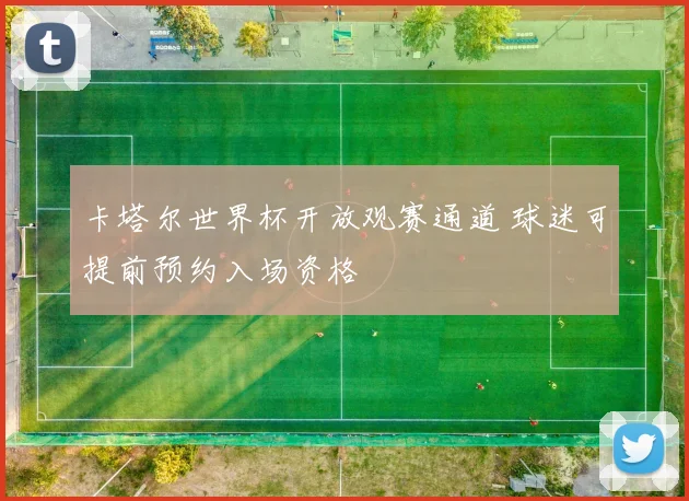 卡塔尔世界杯开放观赛通道 球迷可提前预约入场资格