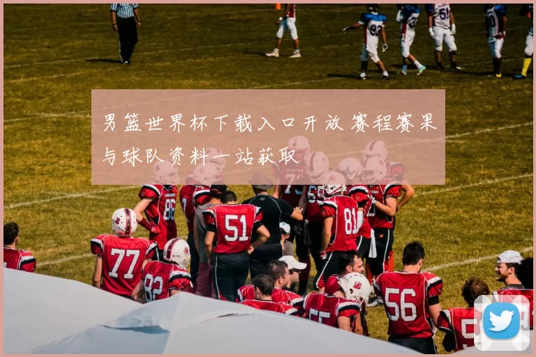 男篮世界杯下载入口开放 赛程赛果与球队资料一站获取